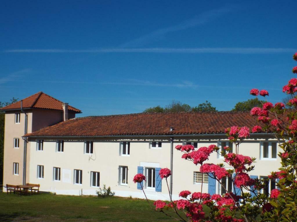 Mazerolles  Chez Broche Bed & Breakfast エクステリア 写真